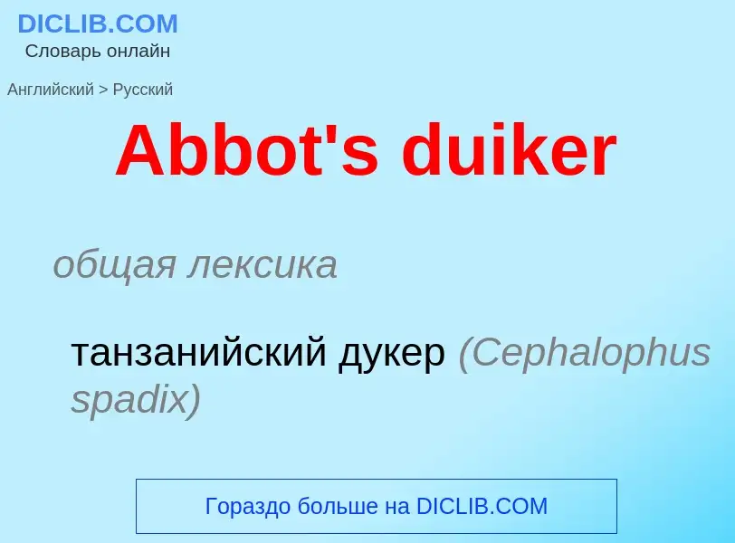 Vertaling van &#39Abbot's duiker&#39 naar Russisch