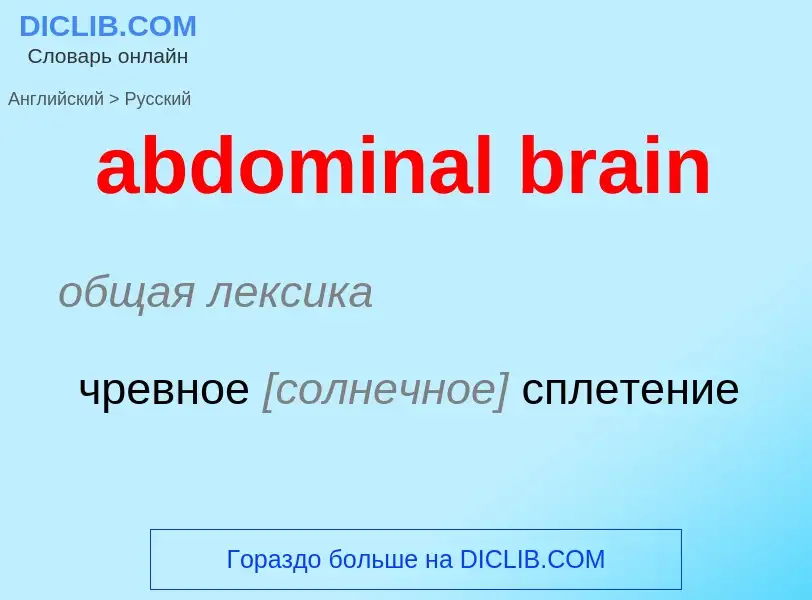 Vertaling van &#39abdominal brain&#39 naar Russisch