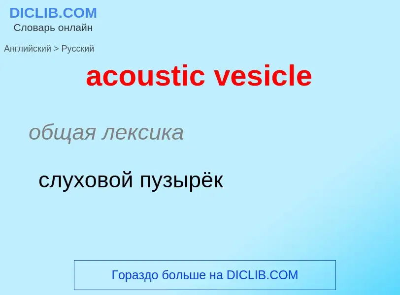 Übersetzung von &#39acoustic vesicle&#39 in Russisch