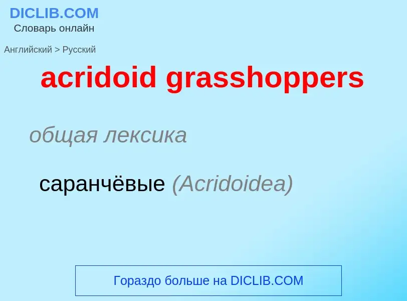 Как переводится acridoid grasshoppers на Русский язык