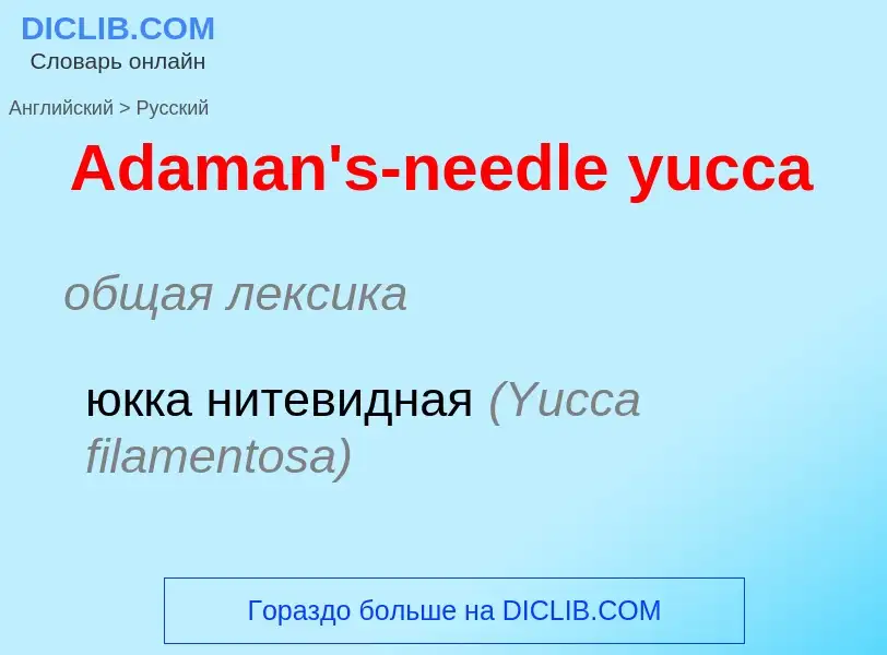 Como se diz Adaman's-needle yucca em Russo? Tradução de &#39Adaman's-needle yucca&#39 em Russo