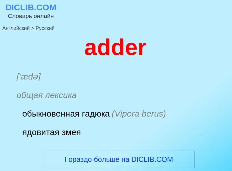 Как переводится adder на Русский язык