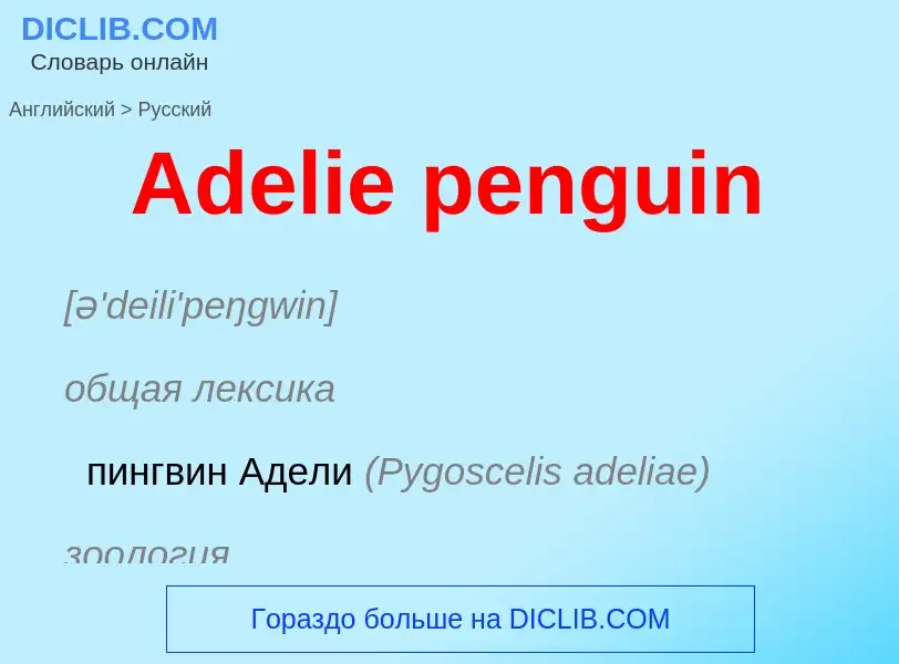 Как переводится Adelie penguin на Русский язык