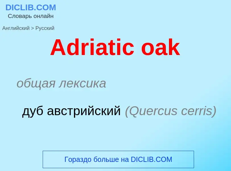 Как переводится Adriatic oak на Русский язык