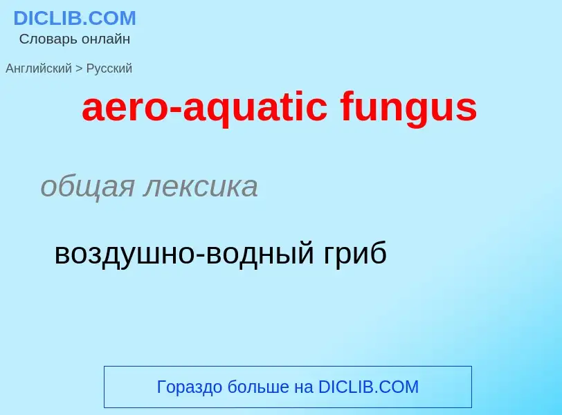 Μετάφραση του &#39aero-aquatic fungus&#39 σε Ρωσικά