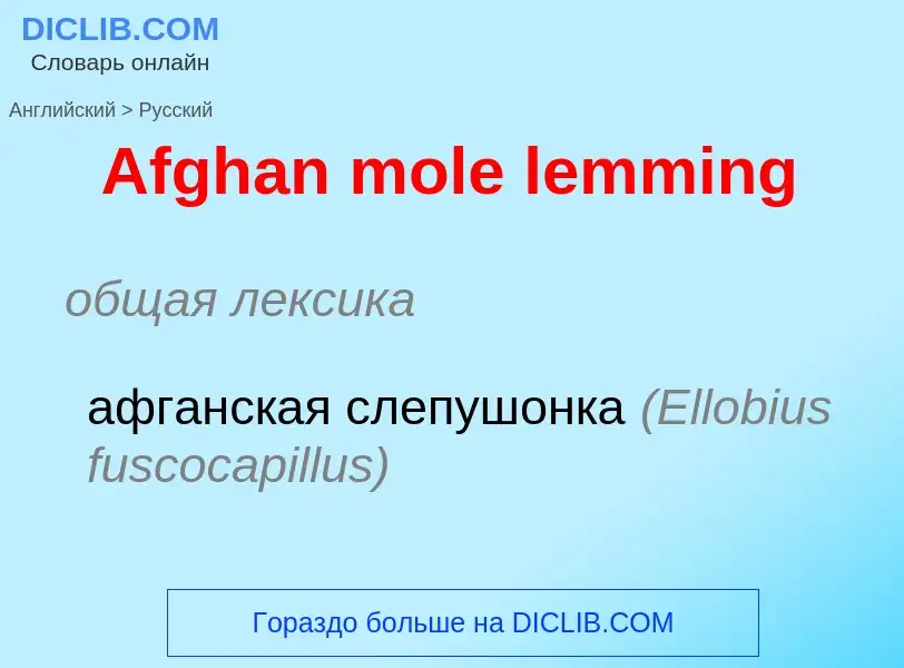 Как переводится Afghan mole lemming на Русский язык