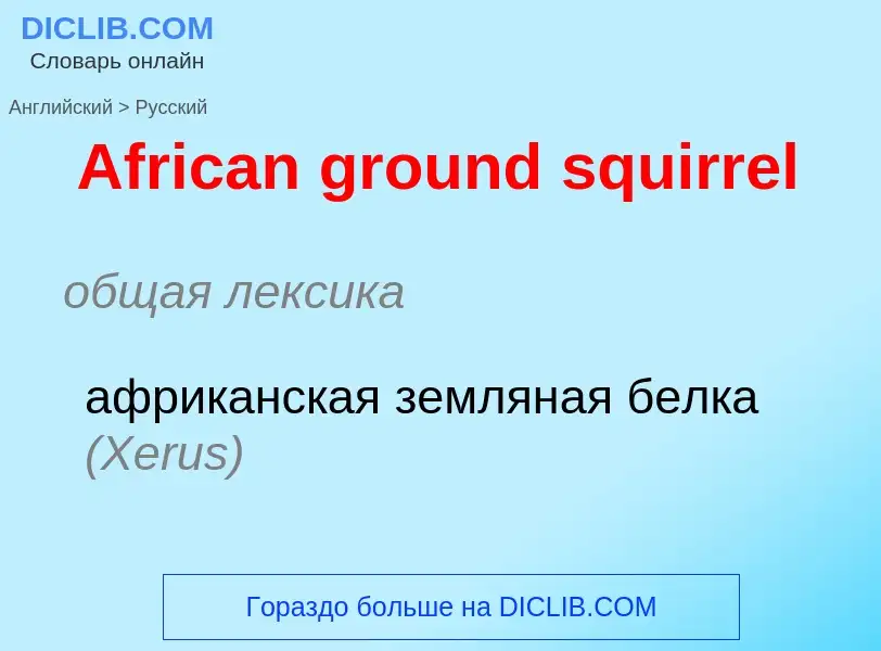 ¿Cómo se dice African ground squirrel en Ruso? Traducción de &#39African ground squirrel&#39 al Ruso