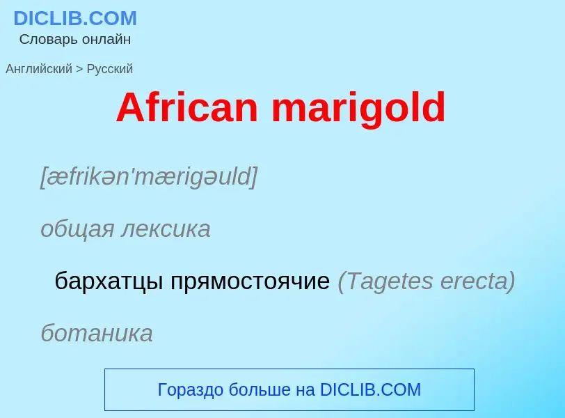 Как переводится African marigold на Русский язык