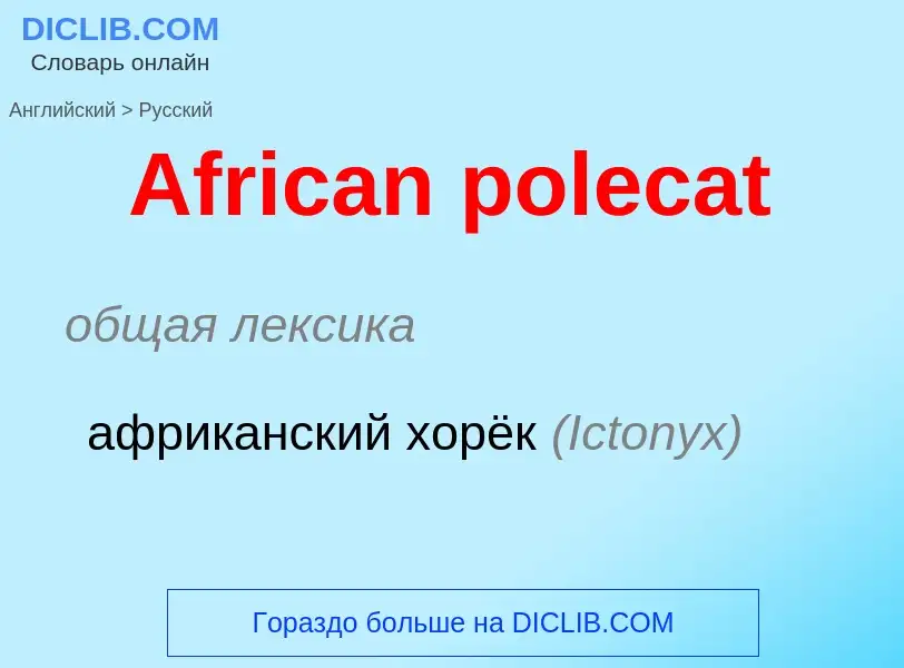 Как переводится African polecat на Русский язык