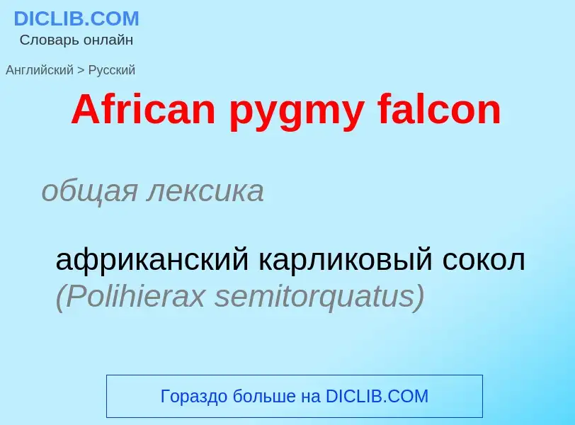 Vertaling van &#39African pygmy falcon&#39 naar Russisch