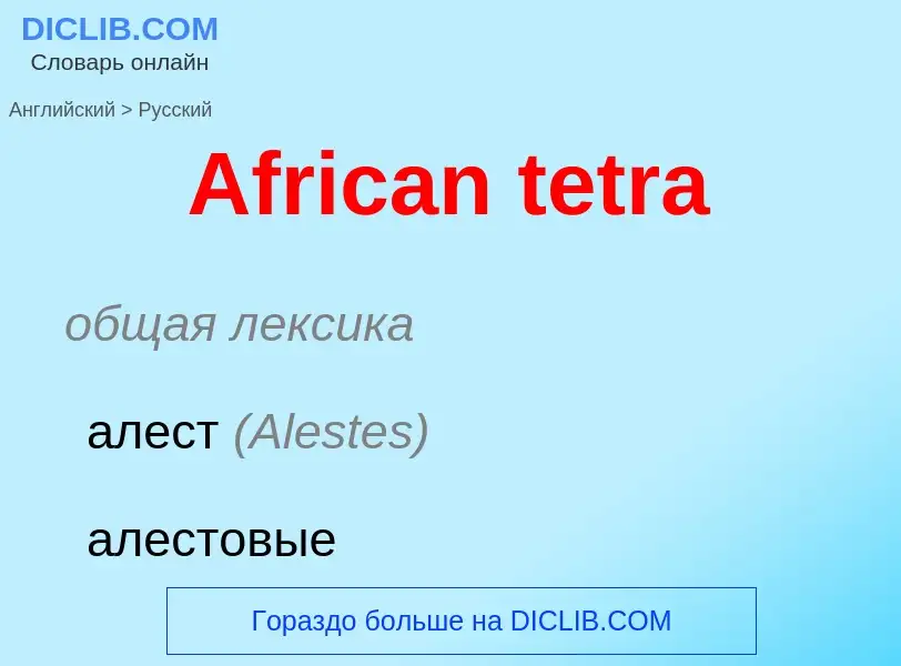 Как переводится African tetra на Русский язык