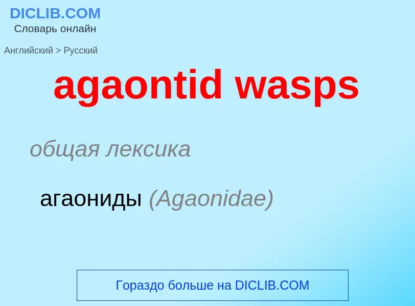 Μετάφραση του &#39agaontid wasps&#39 σε Ρωσικά