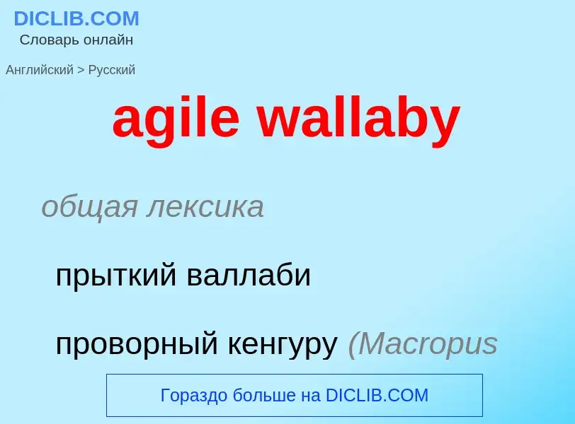 What is the Russian for agile wallaby? Translation of &#39agile wallaby&#39 to Russian