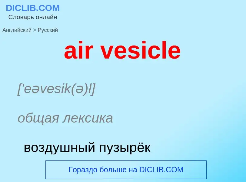 Como se diz air vesicle em Russo? Tradução de &#39air vesicle&#39 em Russo