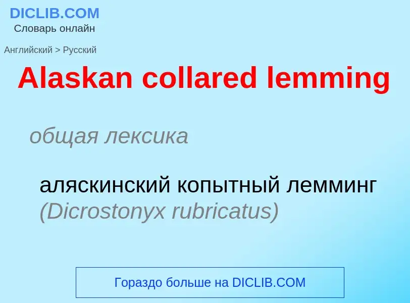 Как переводится Alaskan collared lemming на Русский язык