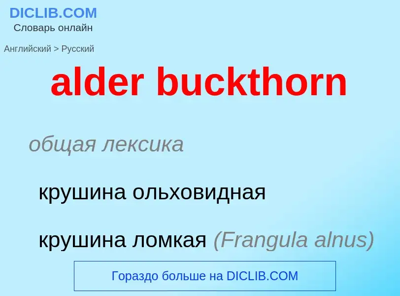 ¿Cómo se dice alder buckthorn en Ruso? Traducción de &#39alder buckthorn&#39 al Ruso