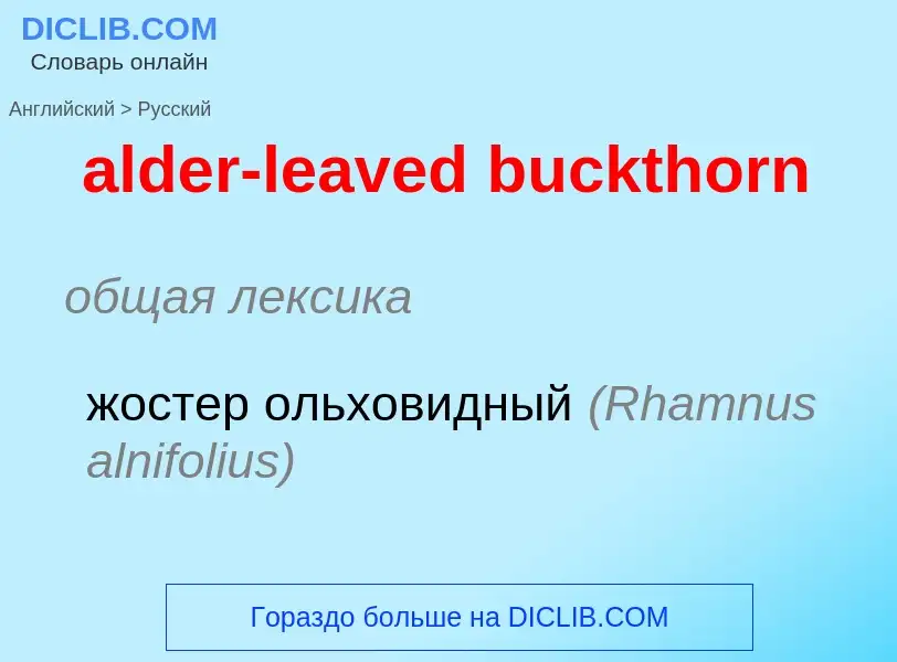 ¿Cómo se dice alder-leaved buckthorn en Ruso? Traducción de &#39alder-leaved buckthorn&#39 al Ruso