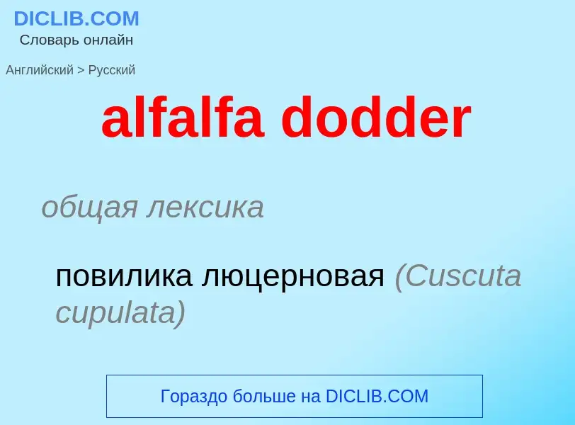 What is the Russian for alfalfa dodder? Translation of &#39alfalfa dodder&#39 to Russian