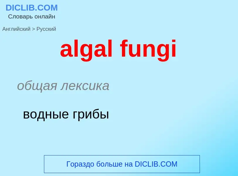 Traduction de &#39algal fungi&#39 en Russe