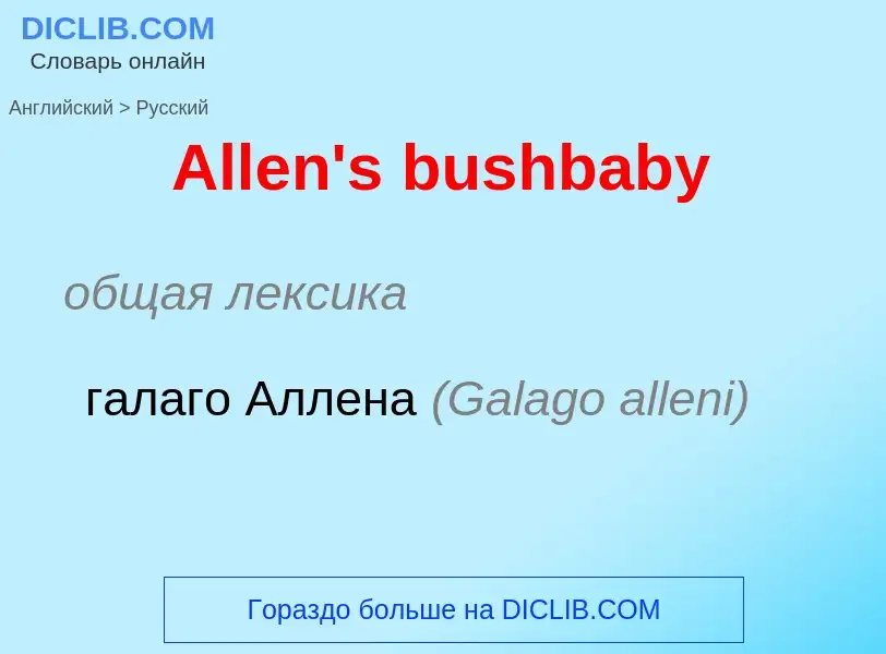 Как переводится Allen's bushbaby на Русский язык