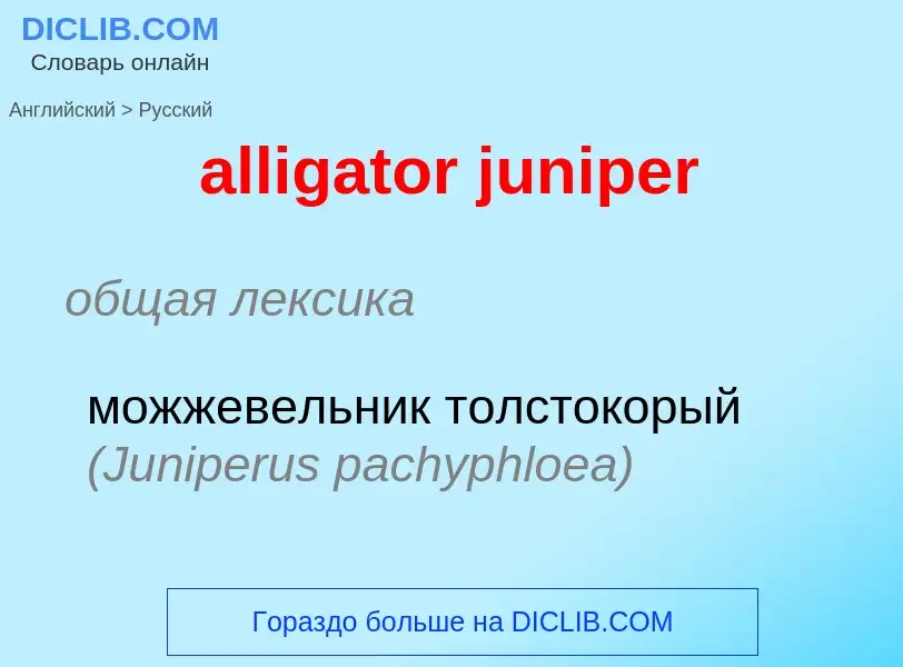 Как переводится alligator juniper на Русский язык