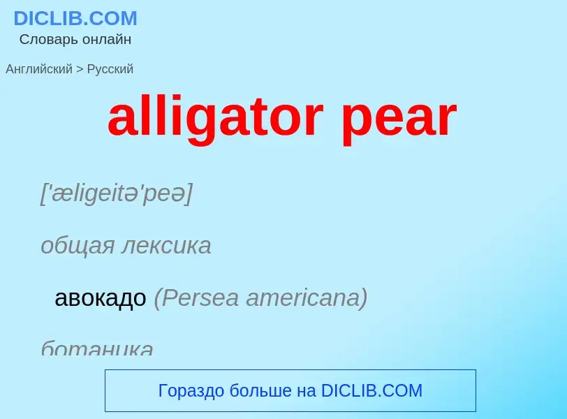 Как переводится alligator pear на Русский язык