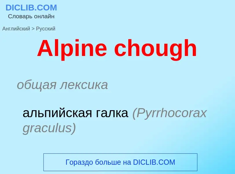 Como se diz Alpine chough em Russo? Tradução de &#39Alpine chough&#39 em Russo