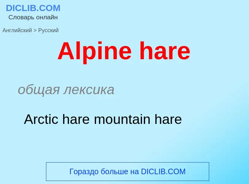 Как переводится Alpine hare на Русский язык