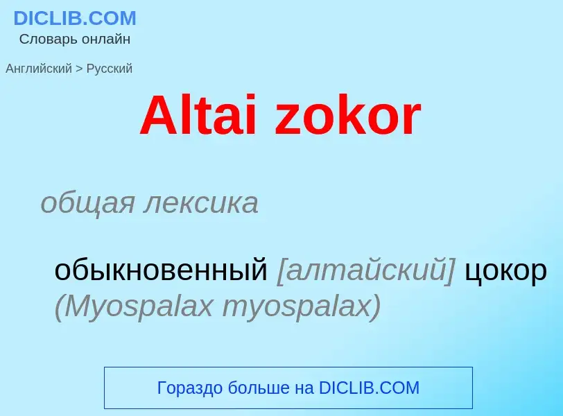 Μετάφραση του &#39Altai zokor&#39 σε Ρωσικά