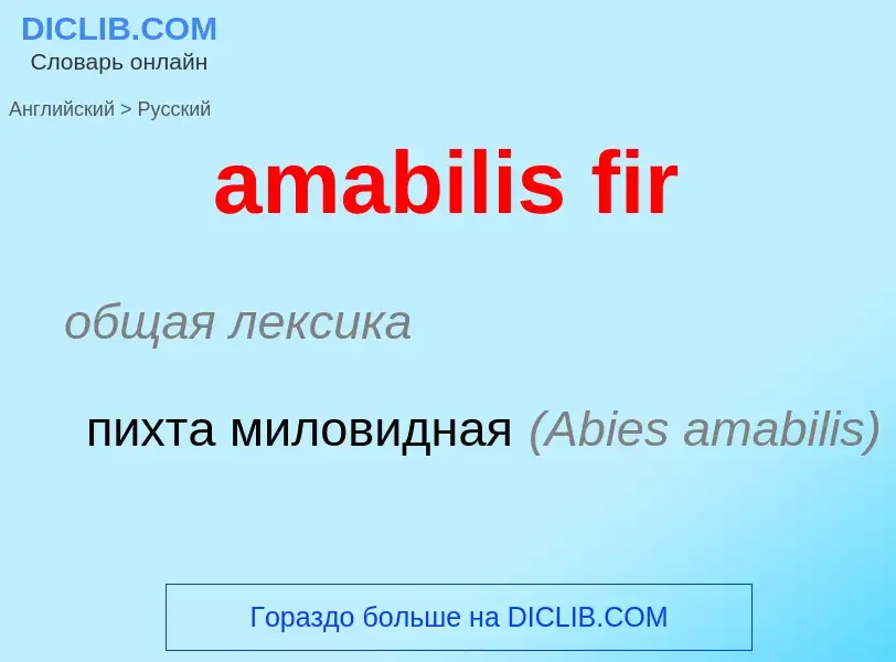 Μετάφραση του &#39amabilis fir&#39 σε Ρωσικά