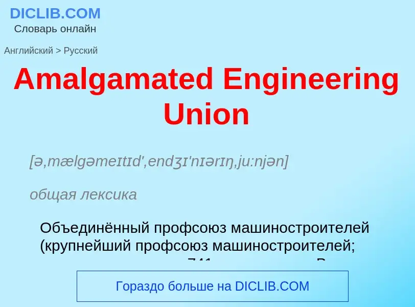 Como se diz Amalgamated Engineering Union em Russo? Tradução de &#39Amalgamated Engineering Union&#3