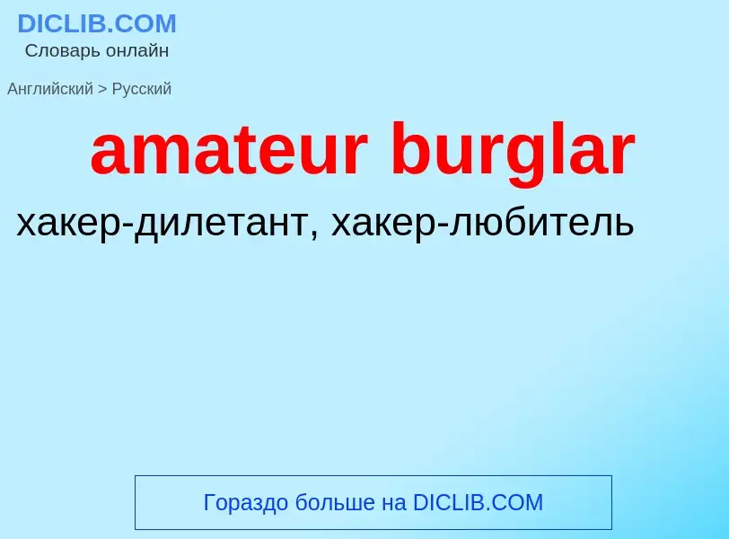 Как переводится amateur burglar на Русский язык