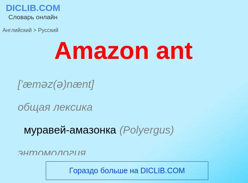 Vertaling van &#39Amazon ant&#39 naar Russisch