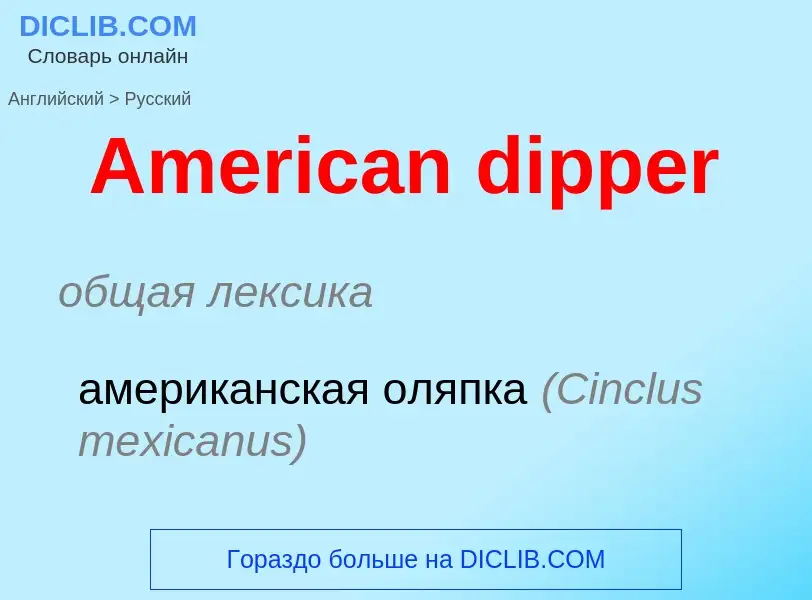 What is the Russian for American dipper? Translation of &#39American dipper&#39 to Russian