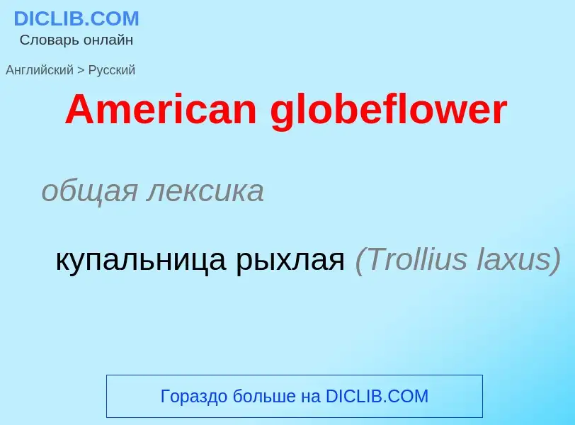 ¿Cómo se dice American globeflower en Ruso? Traducción de &#39American globeflower&#39 al Ruso