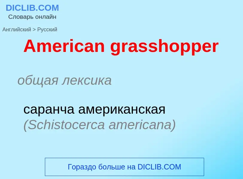 Как переводится American grasshopper на Русский язык