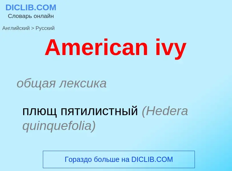 Vertaling van &#39American ivy&#39 naar Russisch