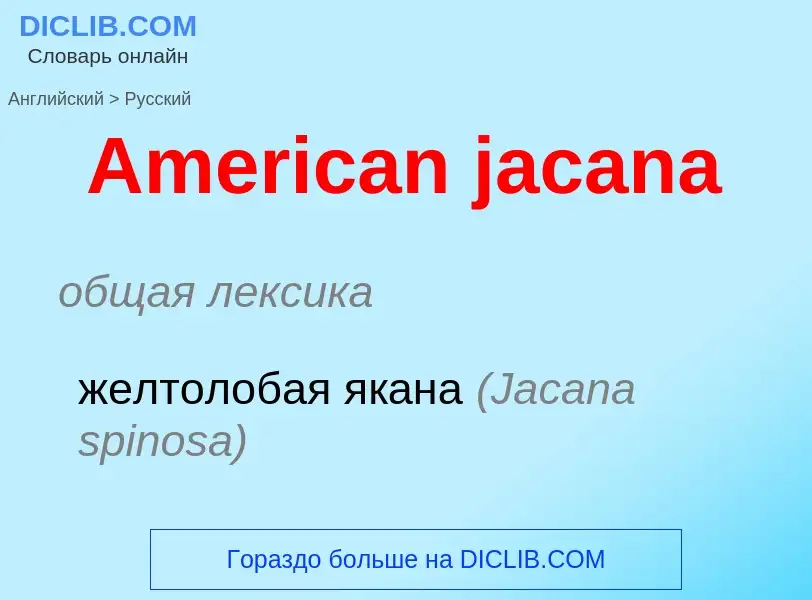 What is the Russian for American jacana? Translation of &#39American jacana&#39 to Russian