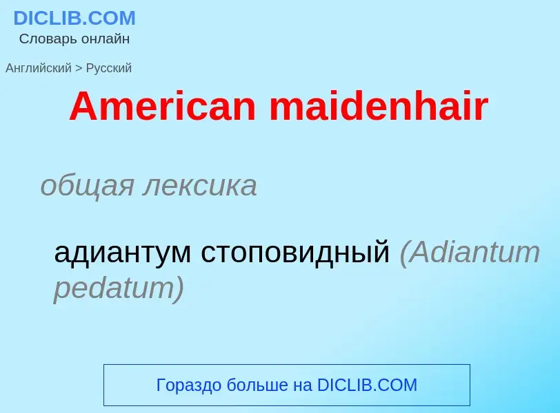 Μετάφραση του &#39American maidenhair&#39 σε Ρωσικά