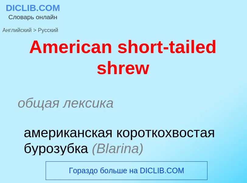 Как переводится American short-tailed shrew на Русский язык