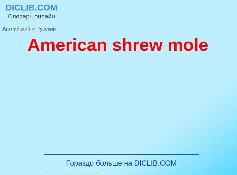 Μετάφραση του &#39American shrew mole&#39 σε Ρωσικά