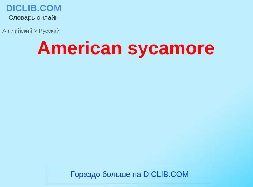 Como se diz American sycamore em Russo? Tradução de &#39American sycamore&#39 em Russo