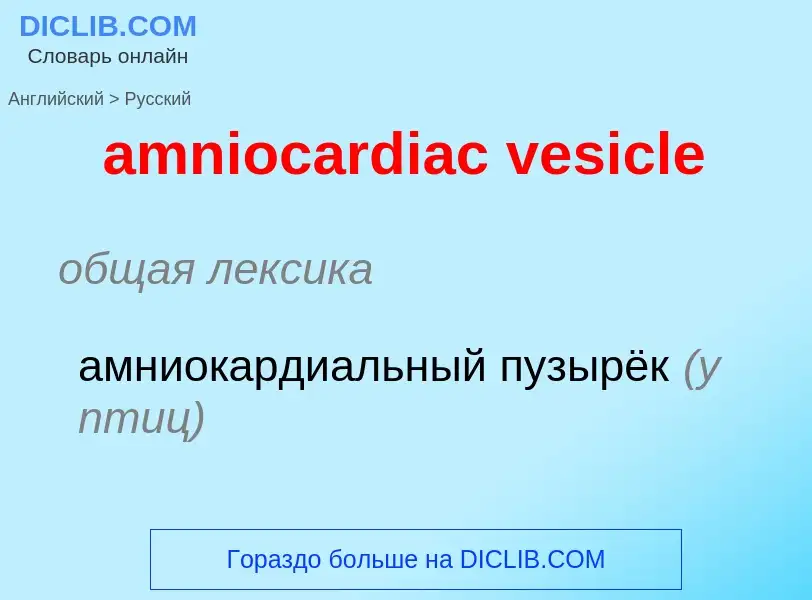 Übersetzung von &#39amniocardiac vesicle&#39 in Russisch