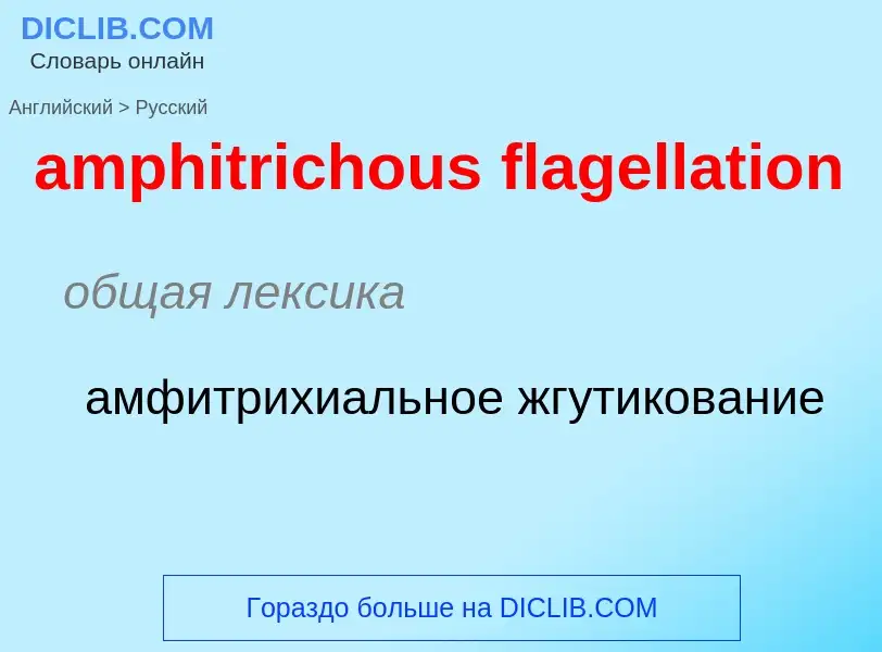 Как переводится amphitrichous flagellation на Русский язык