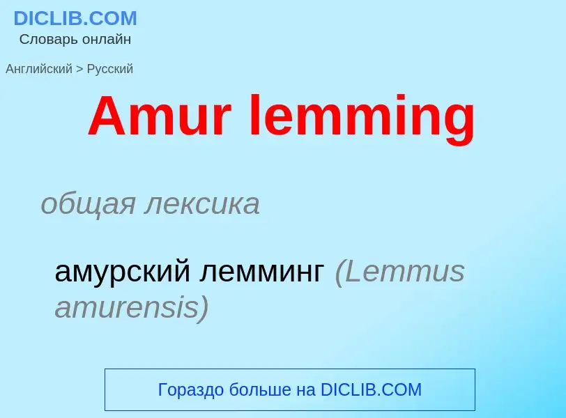 Traduzione di &#39Amur lemming&#39 in Russo