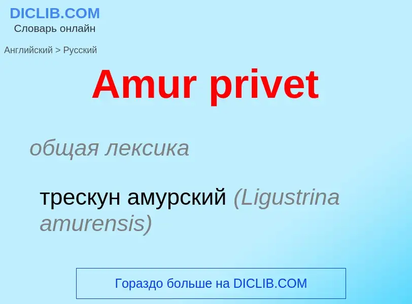 ¿Cómo se dice Amur privet en Ruso? Traducción de &#39Amur privet&#39 al Ruso