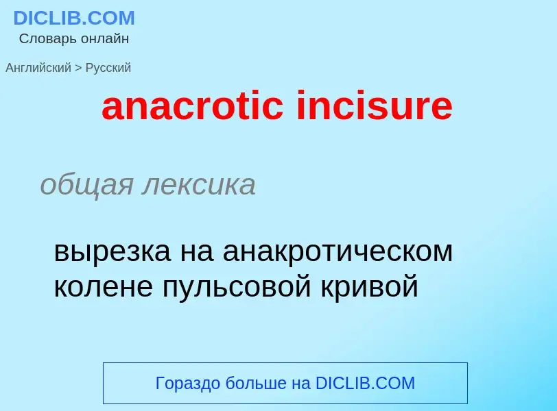 ¿Cómo se dice anacrotic incisure en Ruso? Traducción de &#39anacrotic incisure&#39 al Ruso