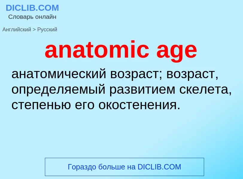 Как переводится anatomic age на Русский язык