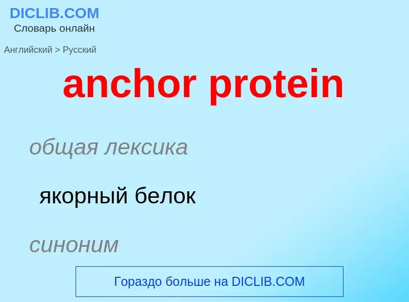 ¿Cómo se dice anchor protein en Ruso? Traducción de &#39anchor protein&#39 al Ruso