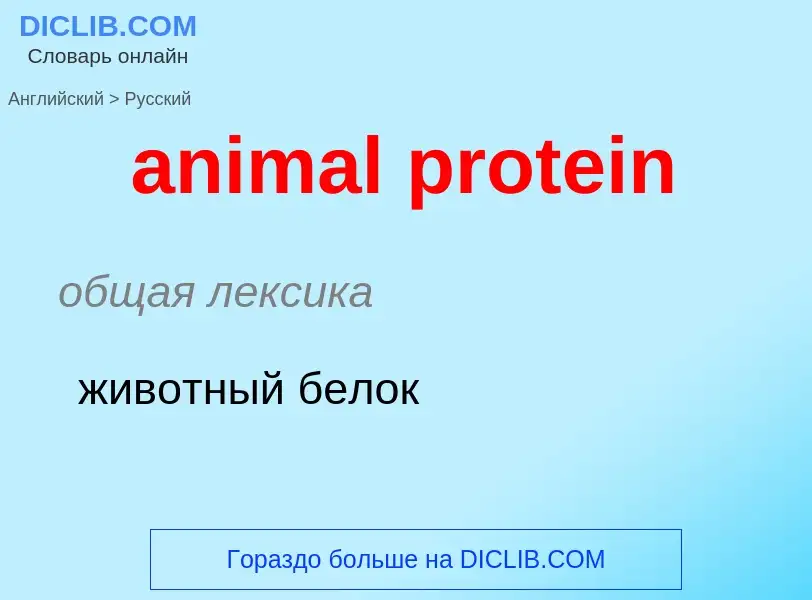 ¿Cómo se dice animal protein en Ruso? Traducción de &#39animal protein&#39 al Ruso